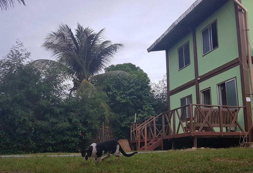 Flat Do Indio Apartment Fernando de Noronha Exterior photo
